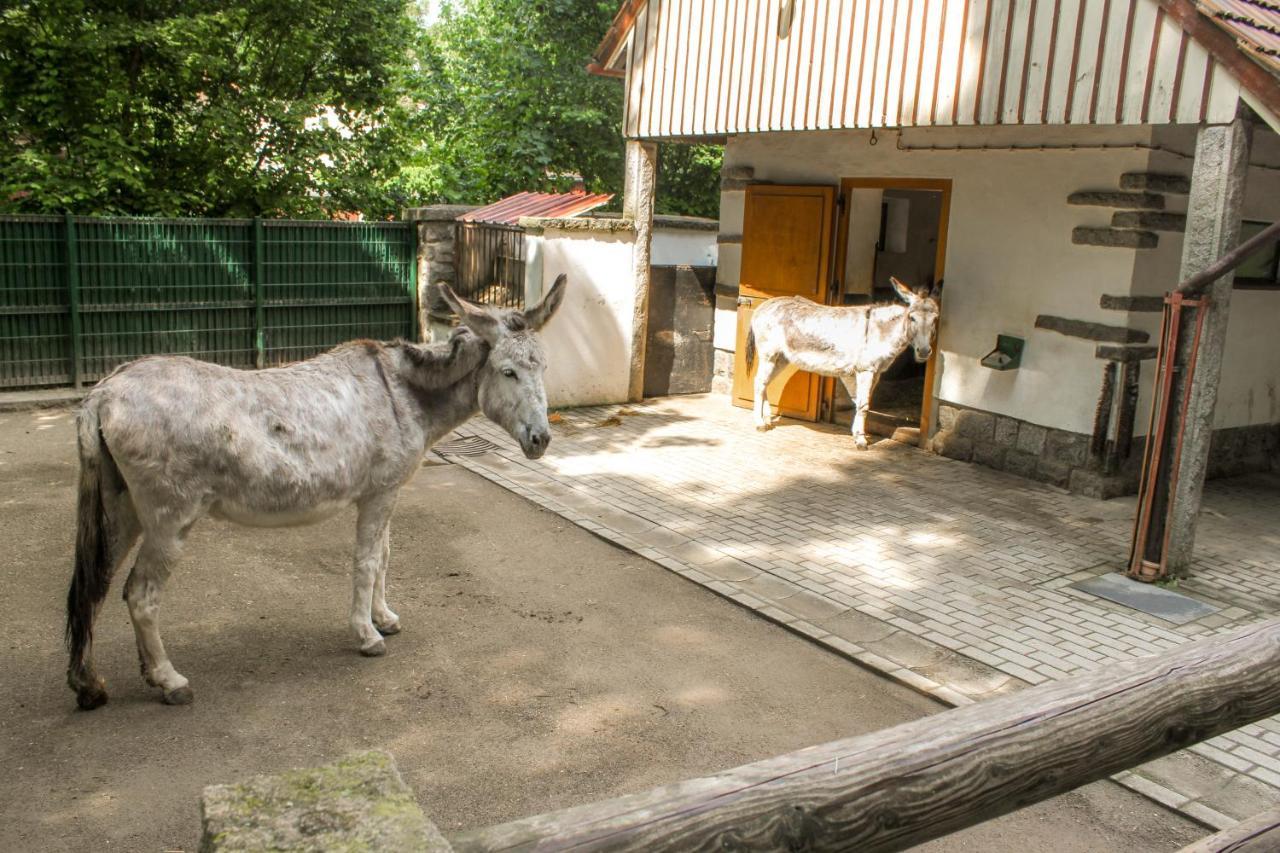 Bischofswerda Ferienwohnung Familienfreundlich Seniorengerecht Exterior foto